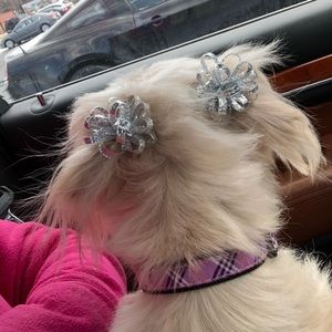 Meet your Posher, Meredith